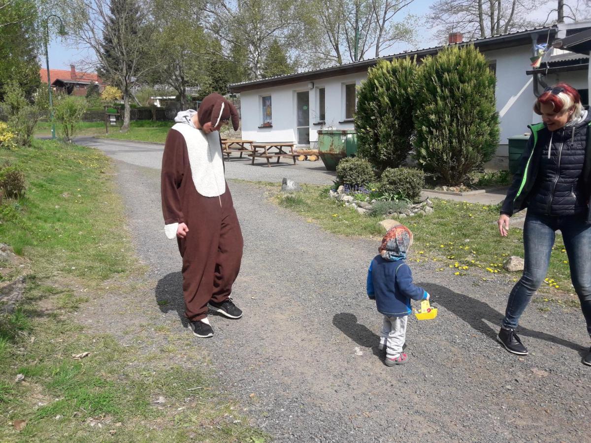 Birkenhof Ashram Familien Blockhutten Hartau Eksteriør billede