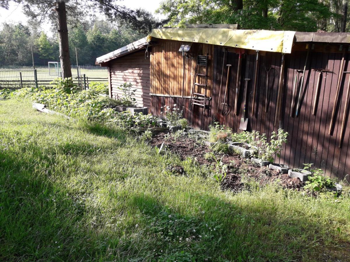 Birkenhof Ashram Familien Blockhutten Hartau Eksteriør billede